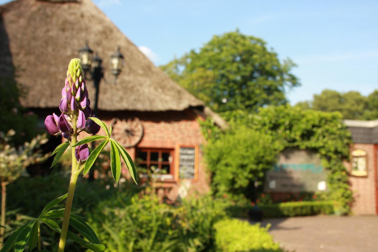 Hotel Landhaus Absalonshorst Groß Grönau Zewnętrze zdjęcie